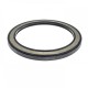 High pressure oil seal 95x120x8 BAHDSL15 NBR [Poclain MG21]